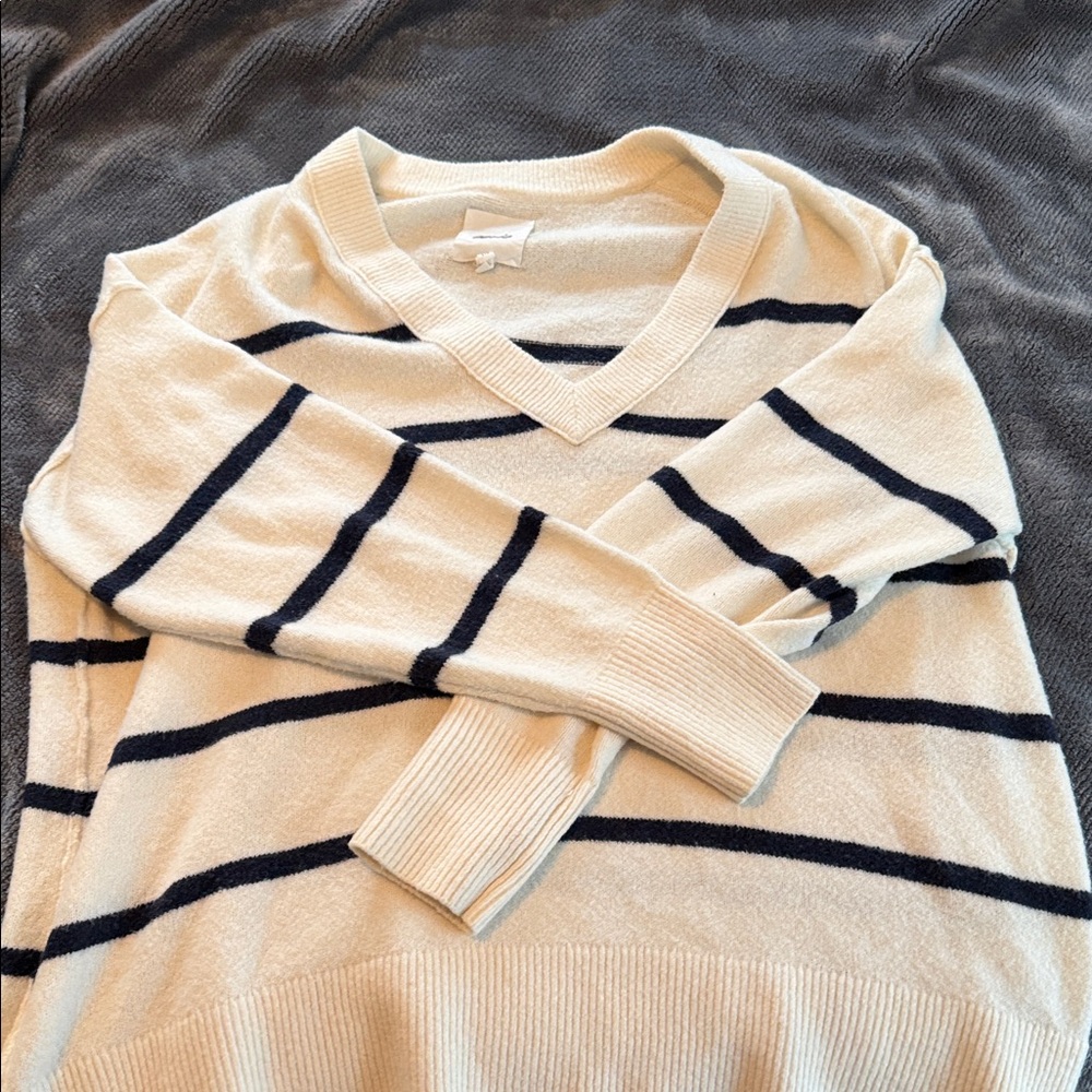 Aerie v-neck sweater